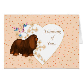 Cavalier Kung Charles Spaniel Hälsningskort