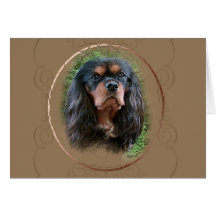 Cavalier Kung Charles Spaniel