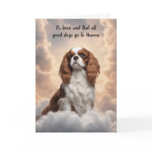Cavalier Kung Charles Spaniel Heaven Sympathy