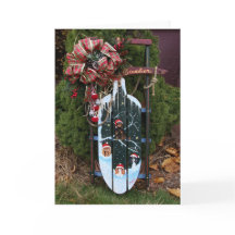 Cavalier Kung Charles Spaniel