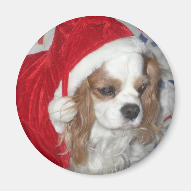CAVALIER KUNG CHARLES SPANIEL HUND AND SANTA HAT MAGNET (Framsidan)