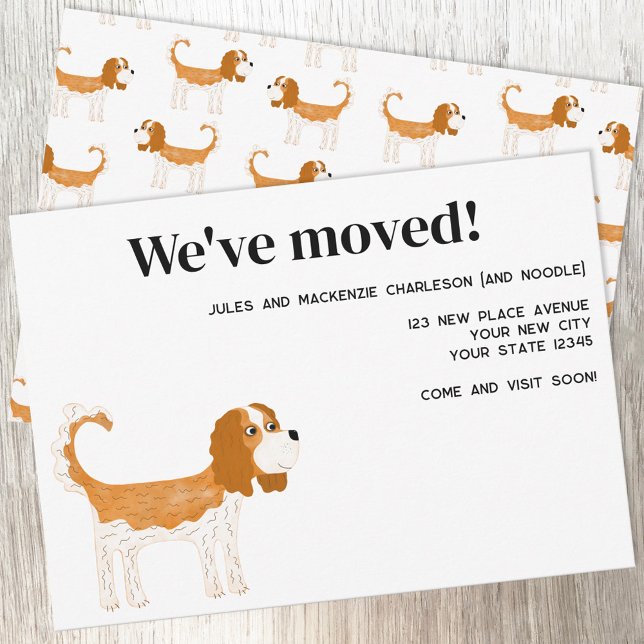 Cavalier Kung Charles Spaniel Hund New Home Flytta Meddelande (Cavalier King Charles Spaniel Dog Blenheim moving announcement new home change of address card)
