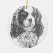 Cavalier Kung Charles Spaniel