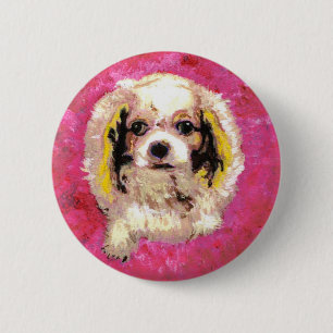 Cavalier Kung Charles Spaniel Knapp