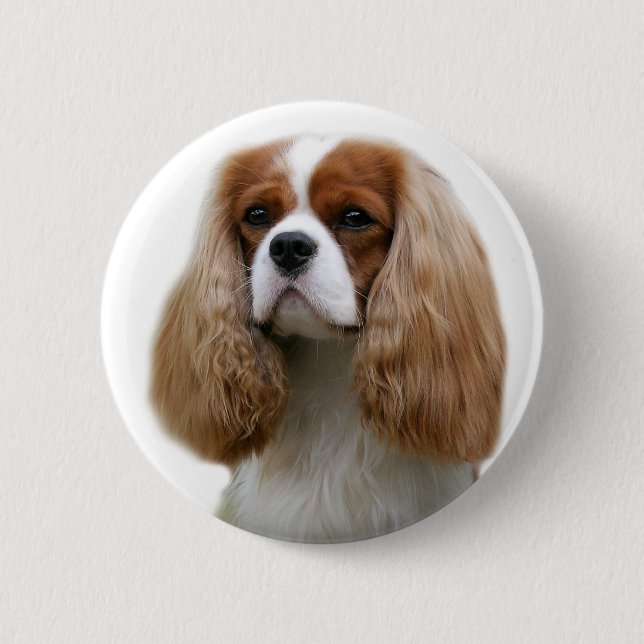 Cavalier Kung Charles Spaniel Knapp (Framsida)