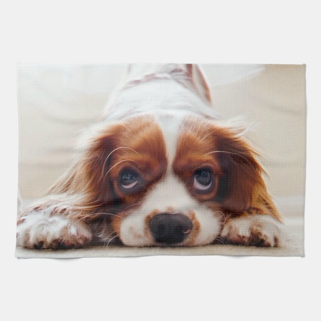 Cavalier Kung Charles Spaniel Kökshandduk (Horisontell)