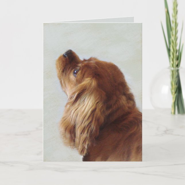 Cavalier Kung Charles Spaniel Kort (Framsida)