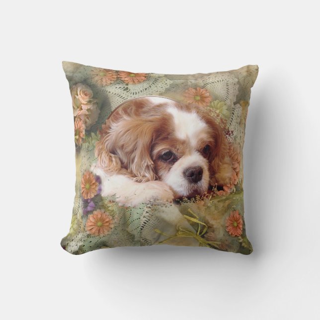 Cavalier Kung Charles Spaniel Kudde (Framsida)