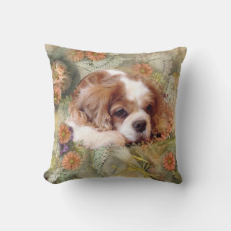 Cavalier Kung Charles Spaniel Kudde