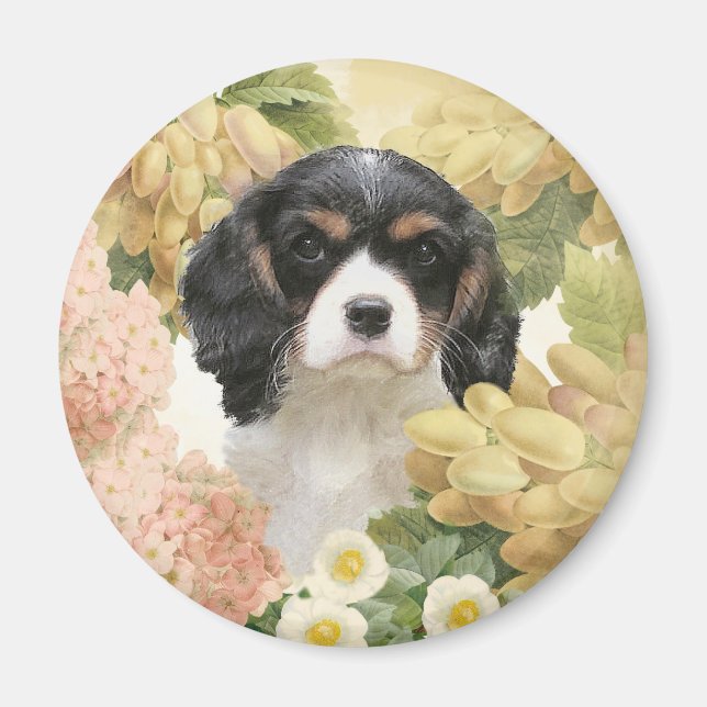 Cavalier Kung Charles Spaniel Magnet (Framsidan)