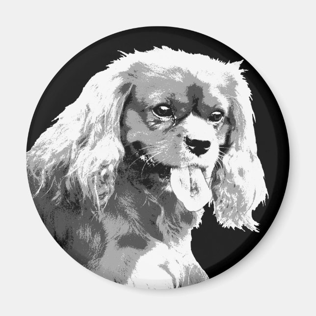Cavalier kung charles spaniel magnet (Framsidan)