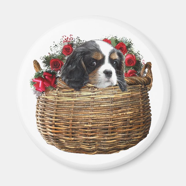 Cavalier Kung Charles Spaniel Magnet (Framsidan)