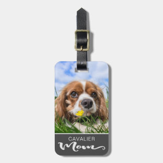 Cavalier Kung Charles Spaniel Mamma Hund's Photo Bagagebricka