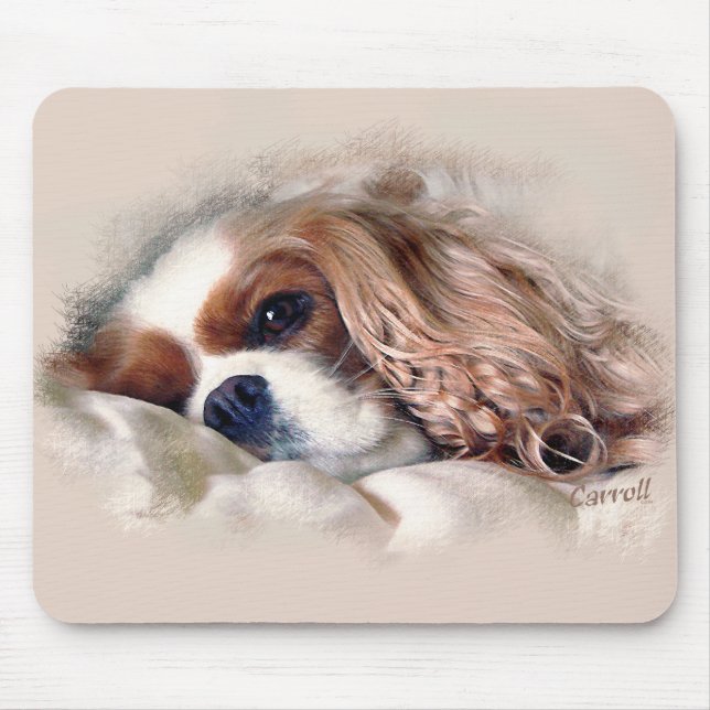 Cavalier Kung Charles Spaniel Musmatta (Framsidan)