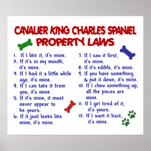 CAVALIER KUNG CHARLES SPANIEL PL2 POSTER