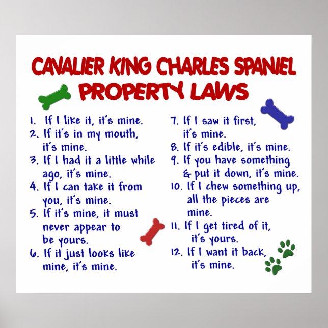 CAVALIER KUNG CHARLES SPANIEL PL2 POSTER (Framsidan)