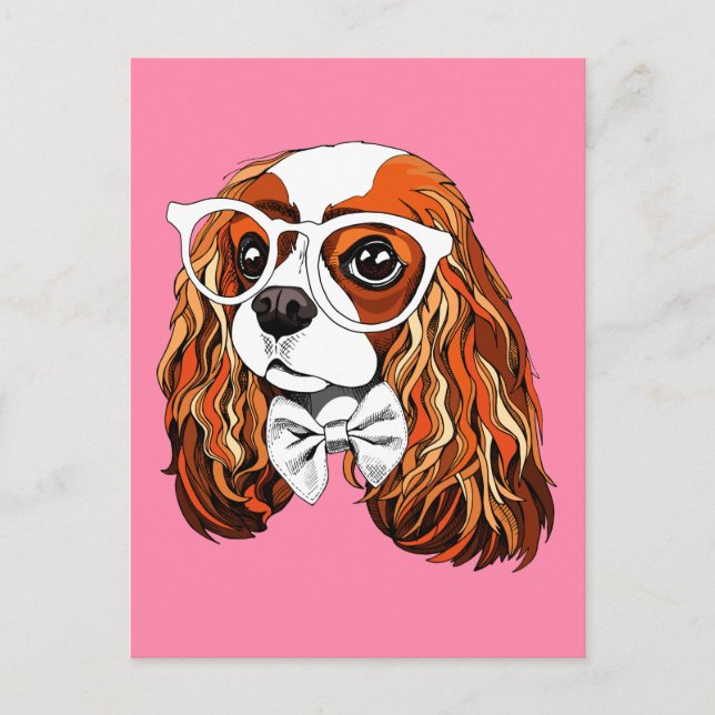Cavalier Kung Charles Spaniel Porträtt Vykort (Framsida)