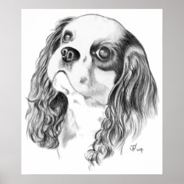 Cavalier Kung Charles Spaniel Poster