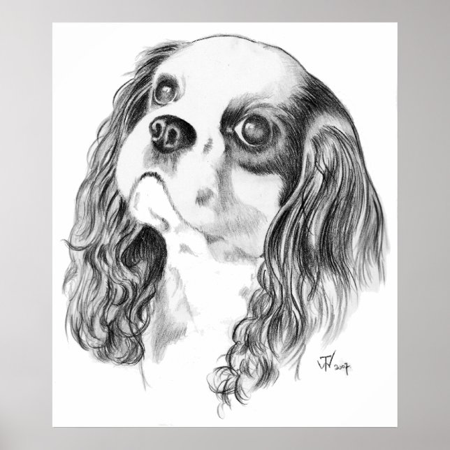 Cavalier Kung Charles Spaniel Poster (Framsidan)