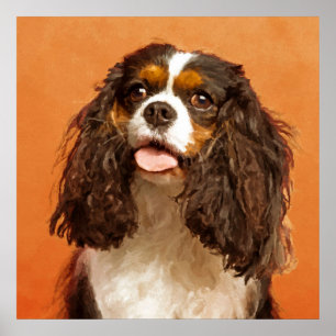 Cavalier Kung Charles Spaniel Poster