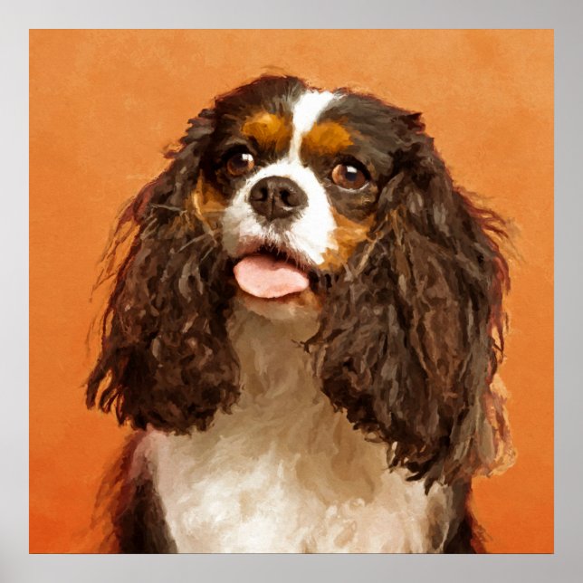 Cavalier Kung Charles Spaniel Poster (Framsidan)