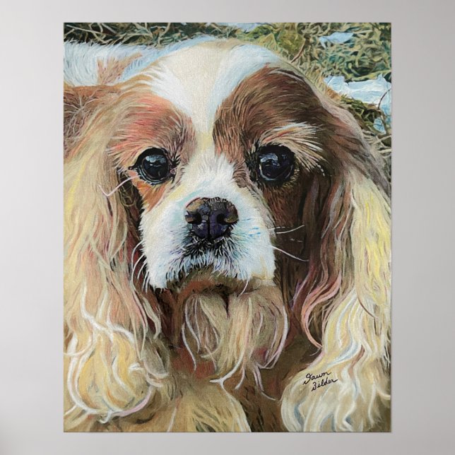 Cavalier Kung Charles Spaniel Poster (Framsidan)