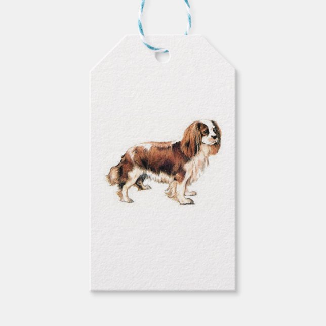 Cavalier Kung Charles Spaniel Presentetikett (Framsidan)