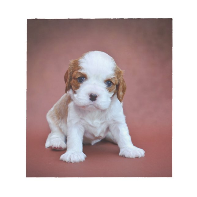 Cavalier Kung Charles Spaniel puppy Anteckningsblock (Framsida)
