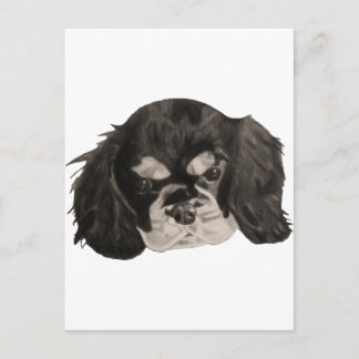 Cavalier Kung Charles Spaniel Puppy Vykort
