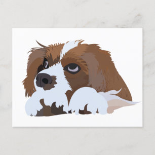 Cavalier Kung Charles Spaniel Puppy Vykort