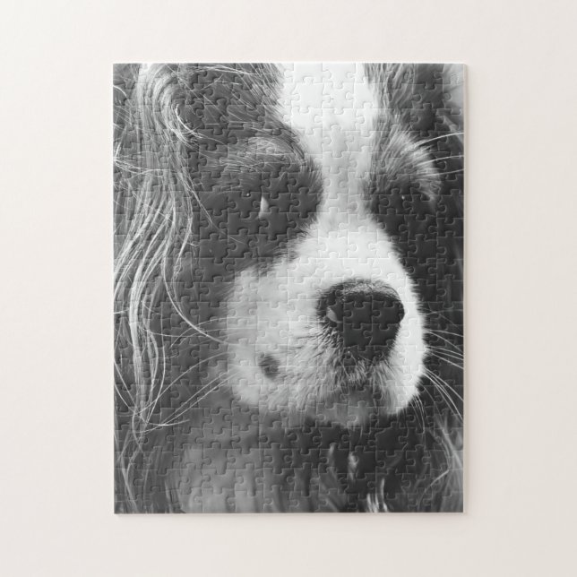 Cavalier Kung Charles Spaniel Pussel (Vertikal)