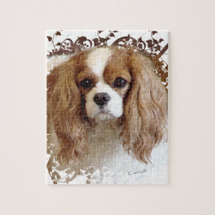 Cavalier Kung Charles Spaniel Pussel