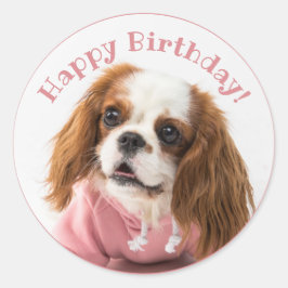 Cavalier Kung Charles Spaniel Rosa Grattis på föde Runt Klistermärke
