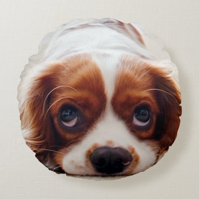 Cavalier Kung Charles Spaniel Rund Kudde (Framsidan)