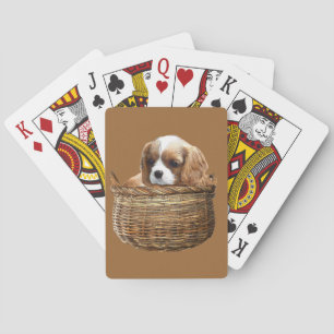 Cavalier Kung Charles Spaniel Spelkort