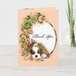 Cavalier Kung Charles Spaniel Tack Kort