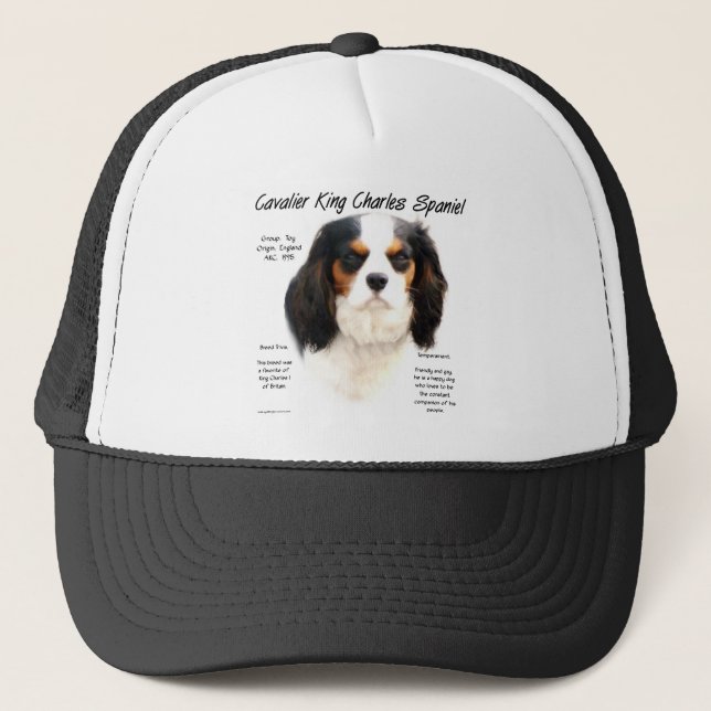 Cavalier Kung Charles Spaniel (tricolor History) Keps (Framsida)