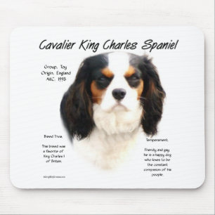Cavalier Kung Charles Spaniel (tricolor History) Musmatta