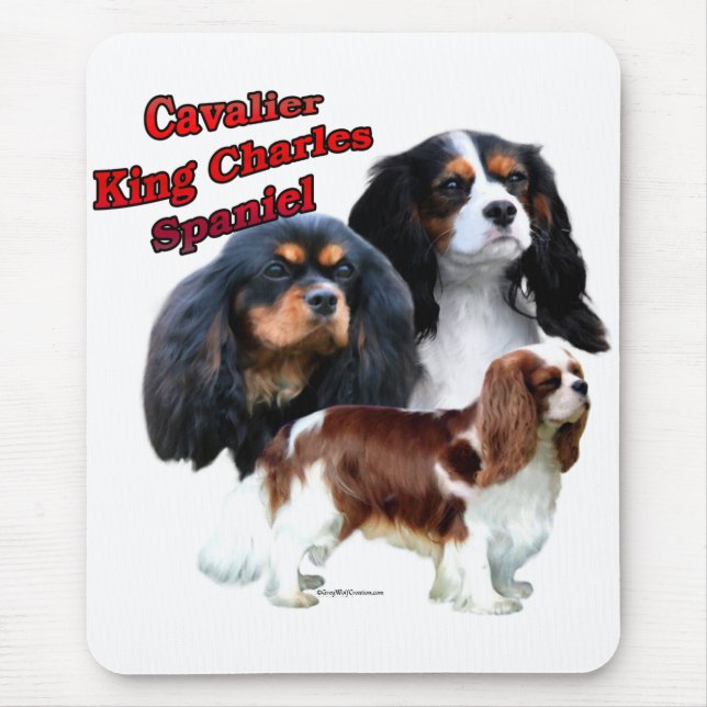Cavalier Kung Charles Spaniel Trio 2 Musmatta (Framsidan)