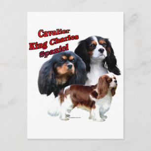 Cavalier Kung Charles Spaniel Trio 2 Vykort