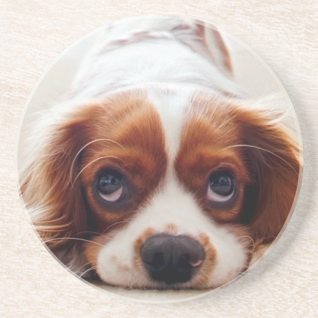 Cavalier Kung Charles Spaniel Underlägg (Framsidan)