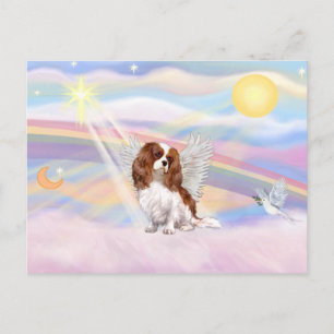 Cavalier Kung Charles Spaniel Vykort