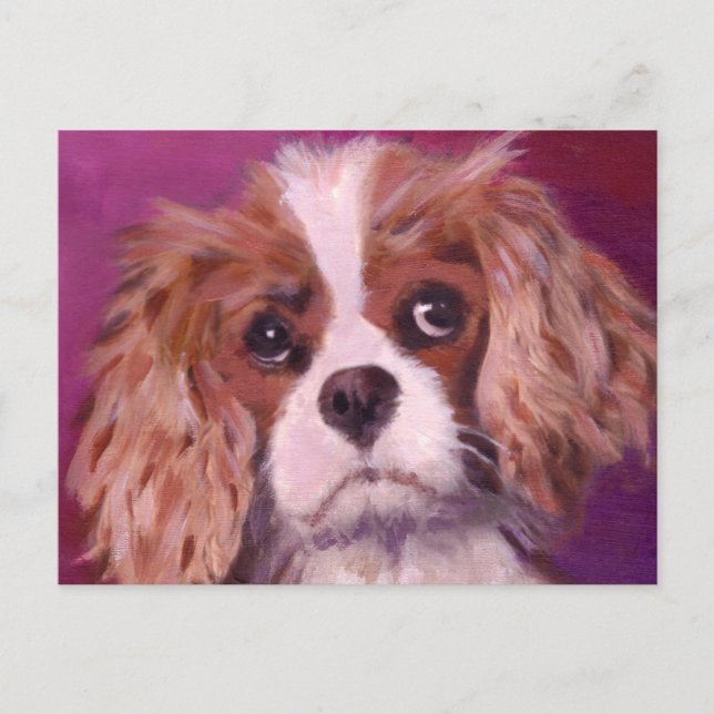 Cavalier Kung Charles Spaniel Vykort (Framsida)
