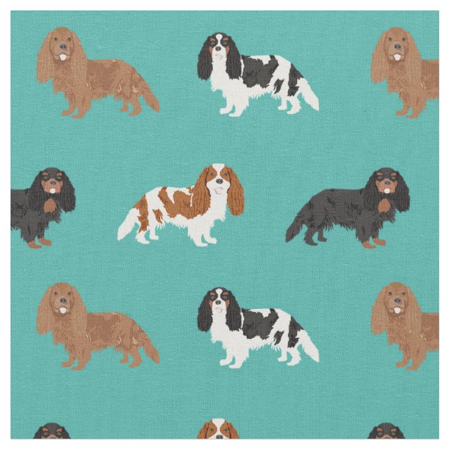 Cavalier Kung Charles (Spanien) Tyg (Närbild)