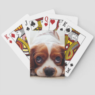 Cavalier Kung Charles spanjor Casinokort
