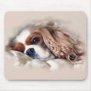 Cavalier Kung Charles spanjor Musmatta