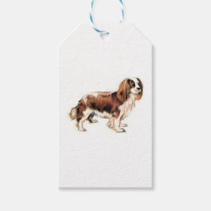 Cavalier Kung Charles spanjor Presentetikett