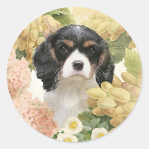 Cavalier Kung Charles spanjor Runt Klistermärke