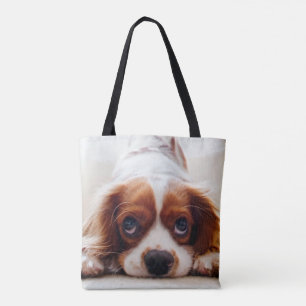Cavalier Kung Charles spanjor Tygkasse