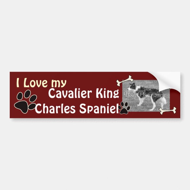 Cavalier Kung Charles Spanska Bumper Sticker Bildekal (Framsidan)